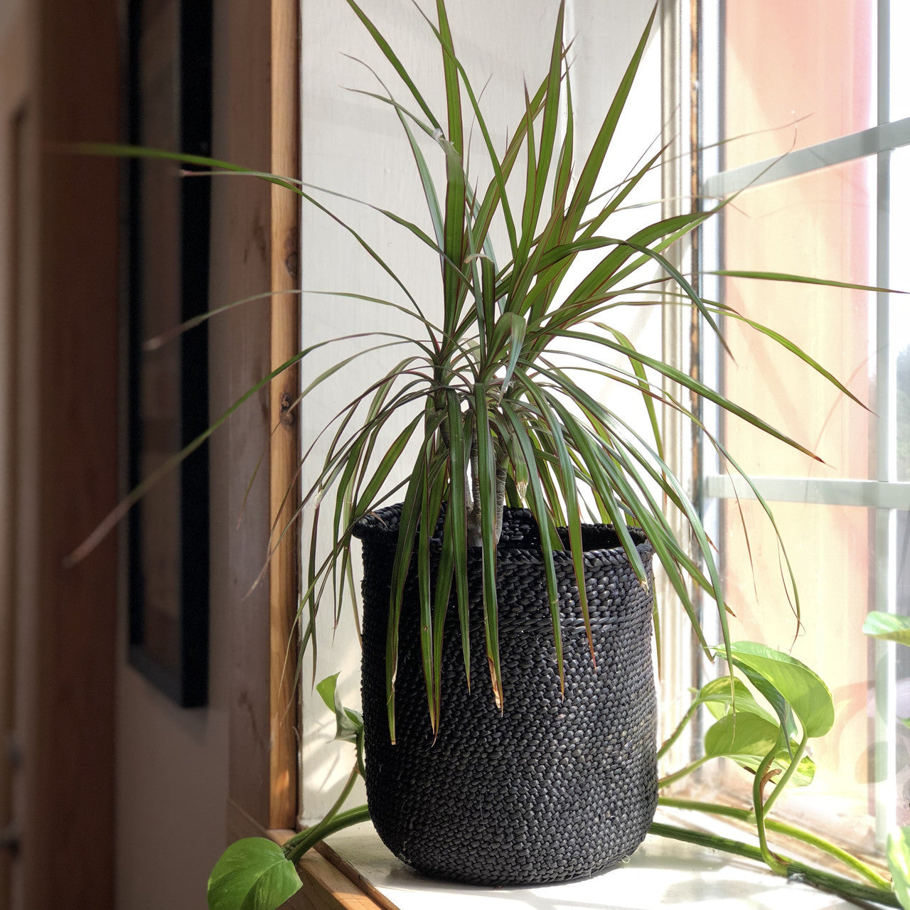 Rich Black Iringa Baskets